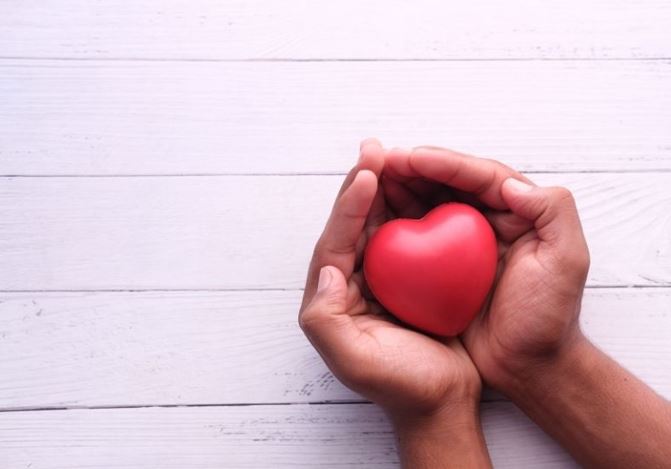 Hands Holding a Plastic Heart for Life Insurance in Toledo, OH