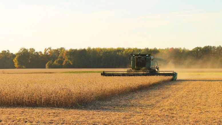 Farm insurance in Archbold, OH