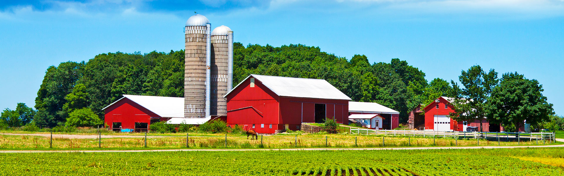 Barn on Field with Farm Insurance in Toledo, Perrysburg, Grand Rapids, OH, Maumee, Haskins, Otsego