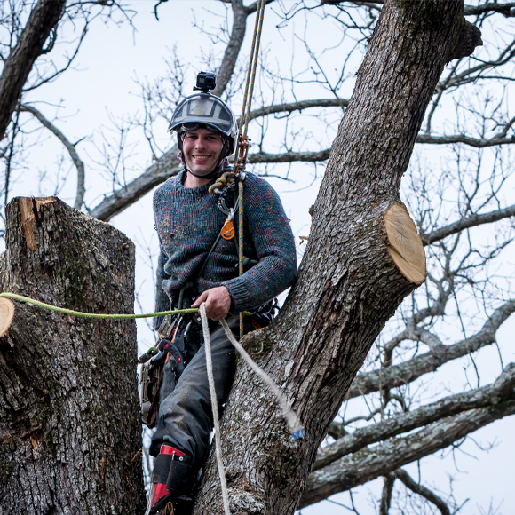 Tree Removal Contractor Business Insurance Near Defiance, OH